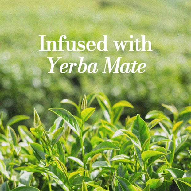 Yerba Mate Eye - Night Bundle