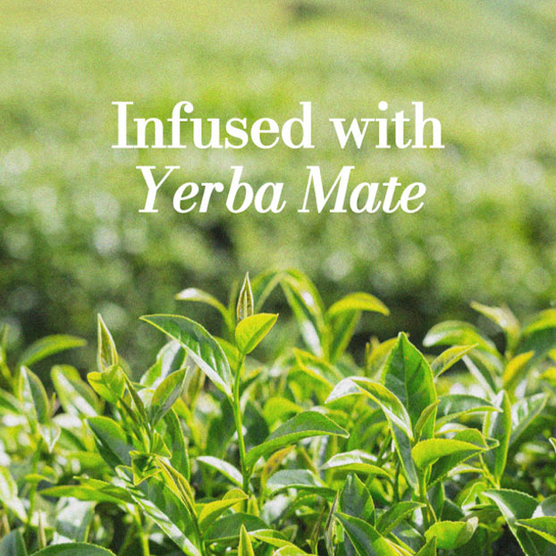 Yerba Mate Night - Cleanser Bundle