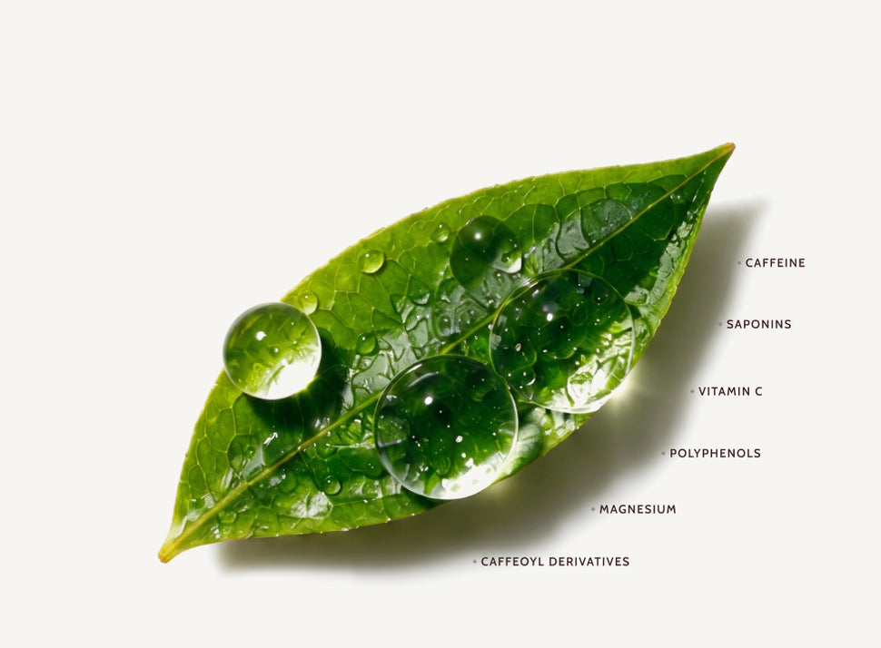 Bio battery main image