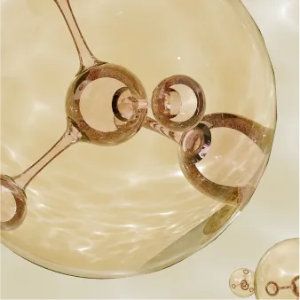 5-Ceramide complex ingredient