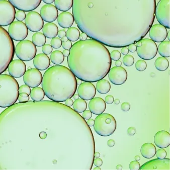 Chlorogenic acid ingredient
