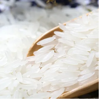 Rice ingredient