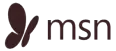 msn logo